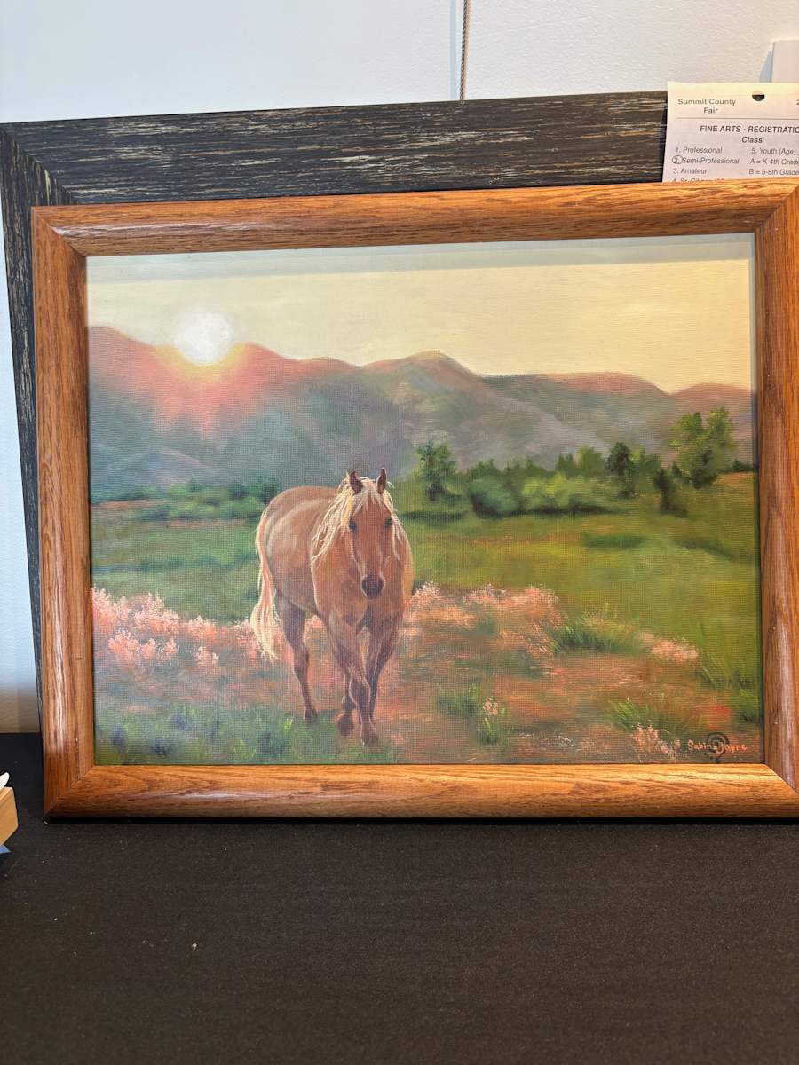 Goldie at Golden Hour by Sabina Morrey 