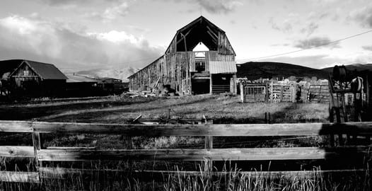 The View From My Door 