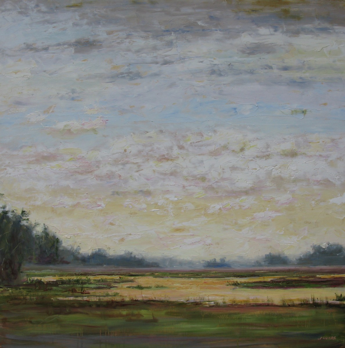 Low Country Skies by Janet Lucas Beck 