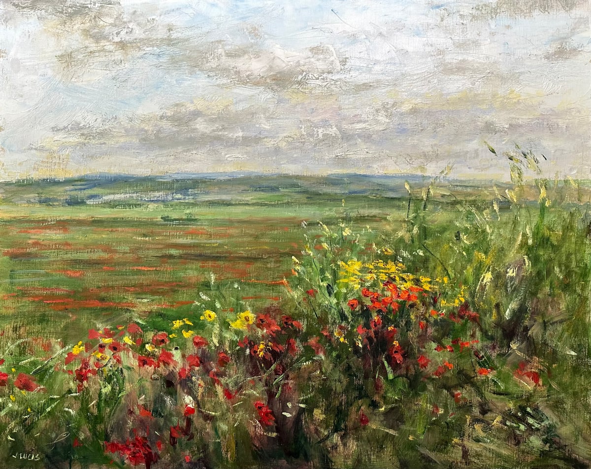 Wild Poppies by Janet Lucas Beck 