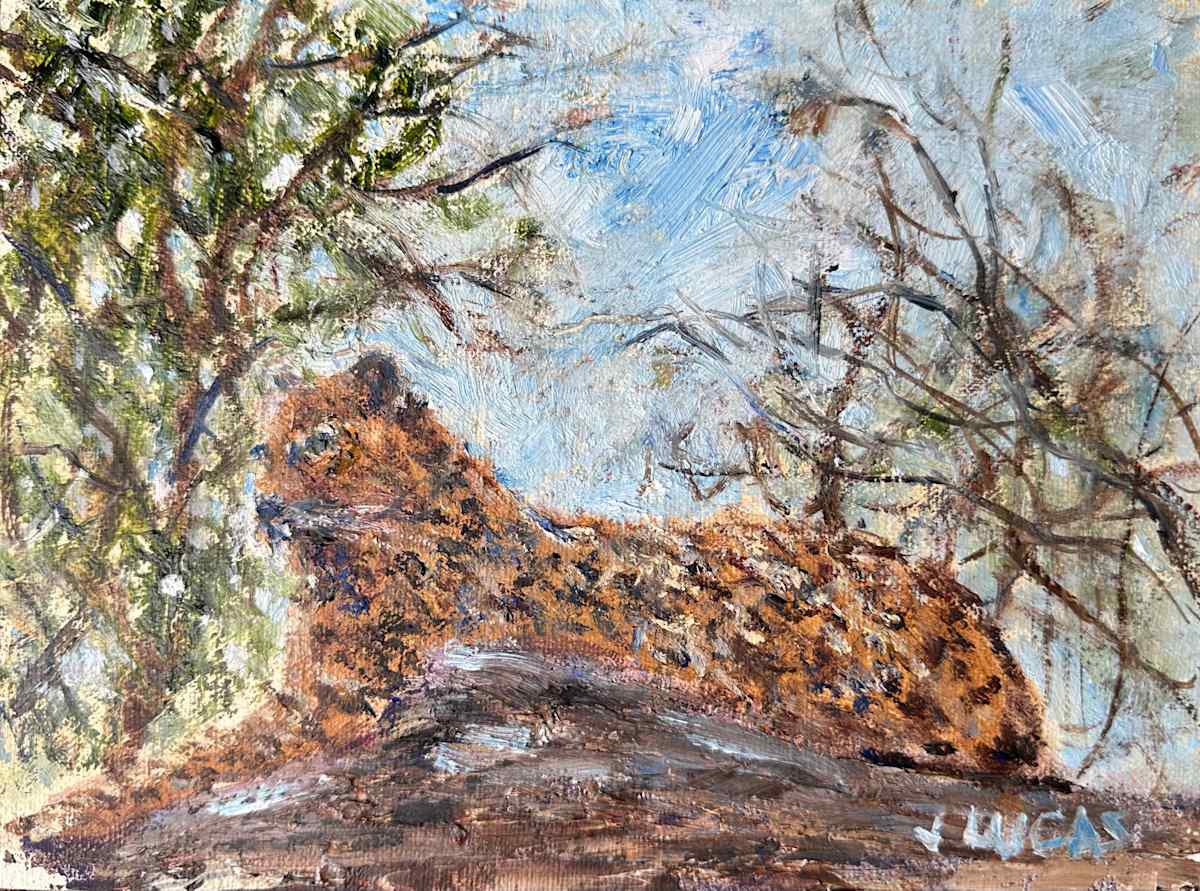 Leopard by Janet Lucas Beck, Image 2.