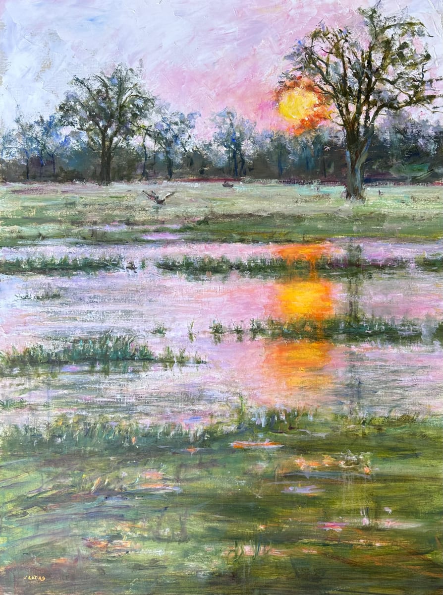 September Sunset by Janet Lucas Beck 