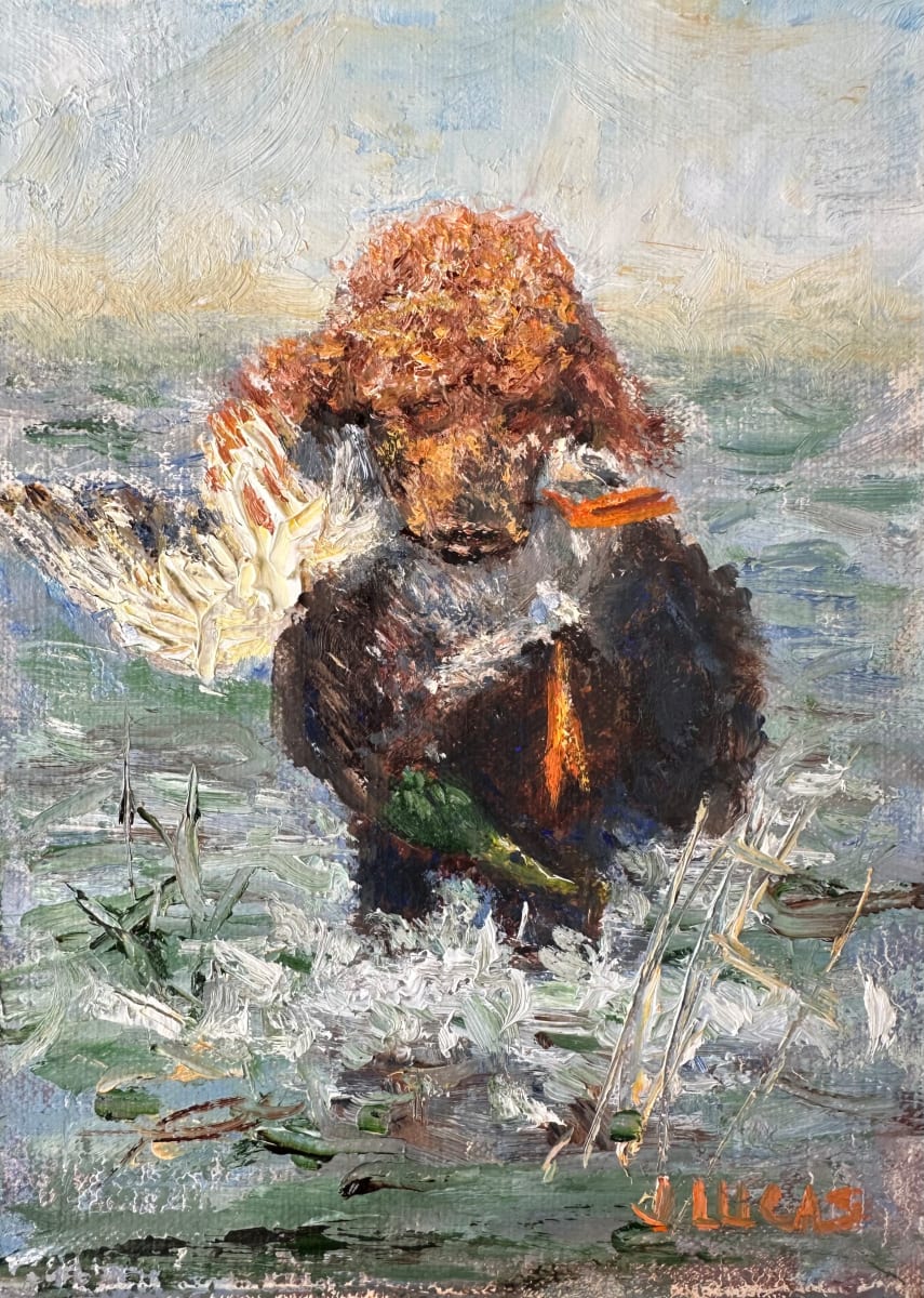 Cache by Janet Lucas Beck 