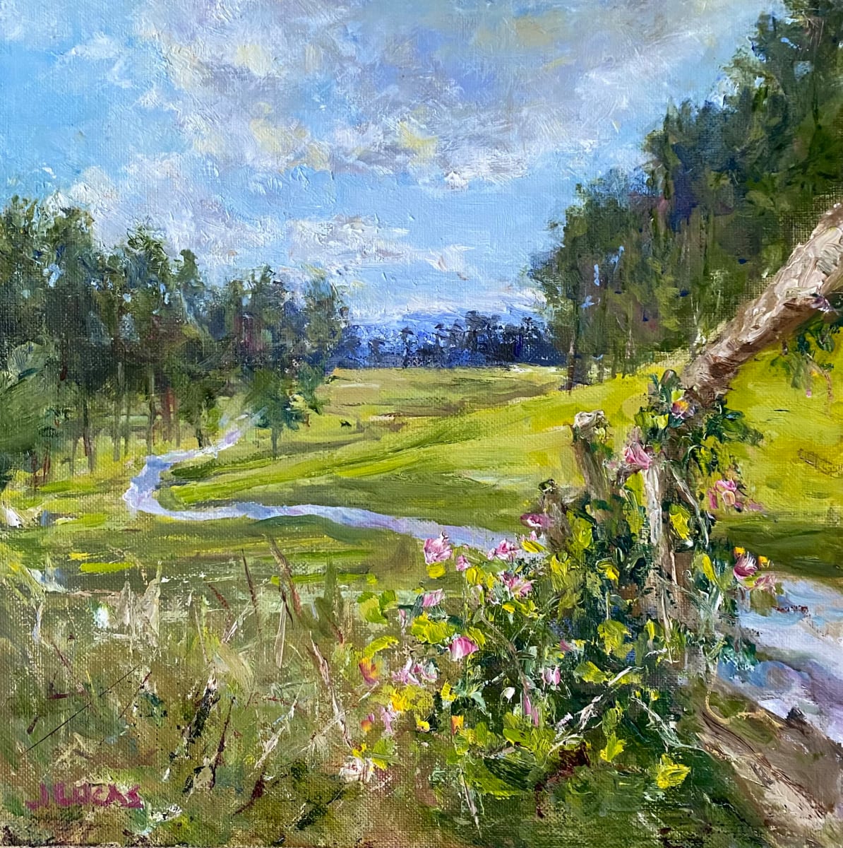 Wild Honeysuckle, Image 7.