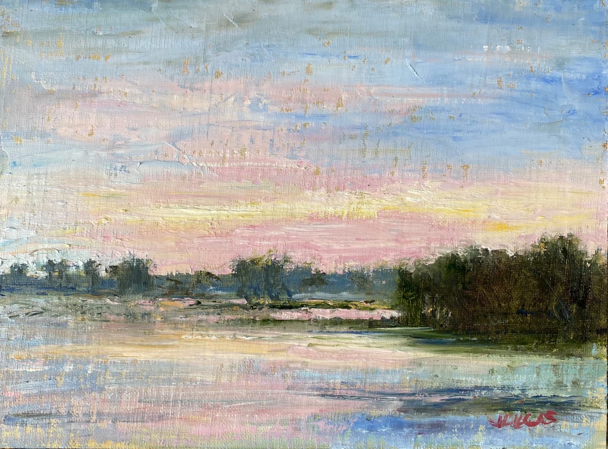 Pink Sky, Lake Martin by Janet Lucas Beck 