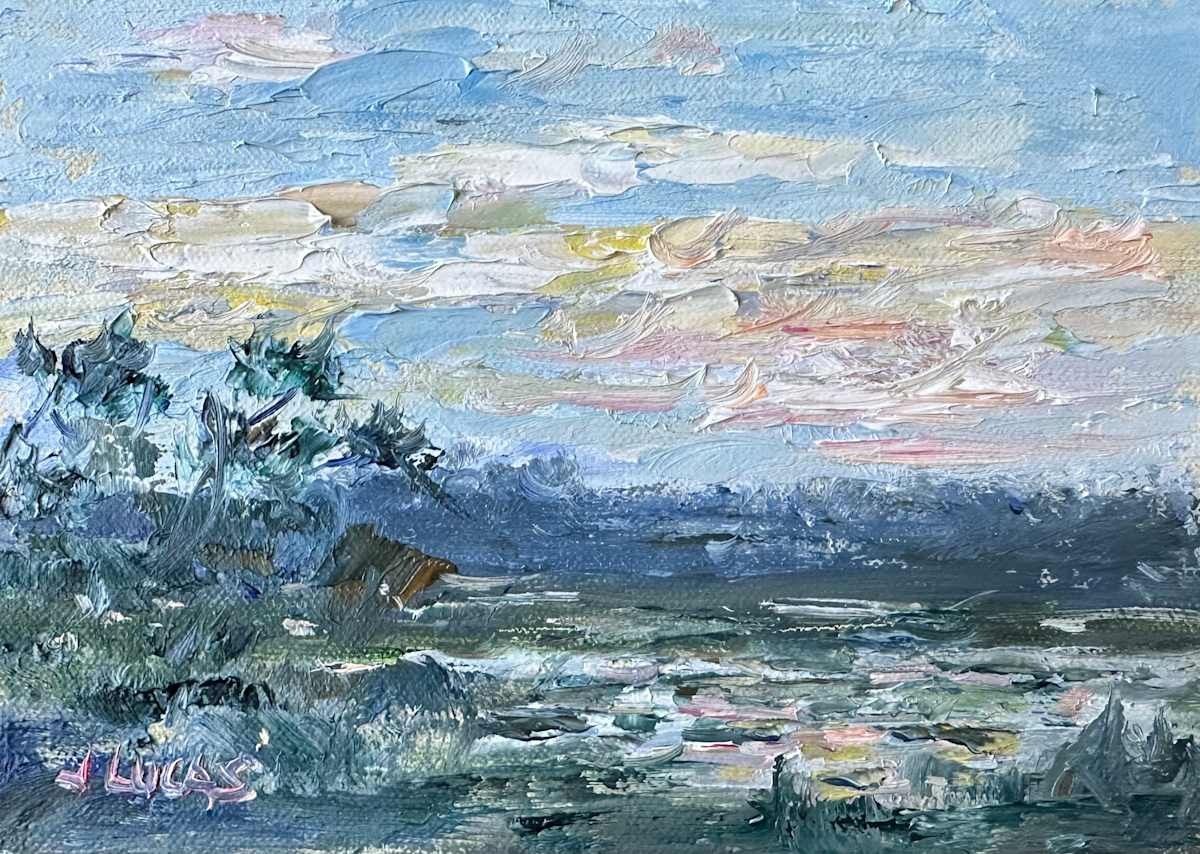 Marsh Sunset by Janet Lucas Beck 