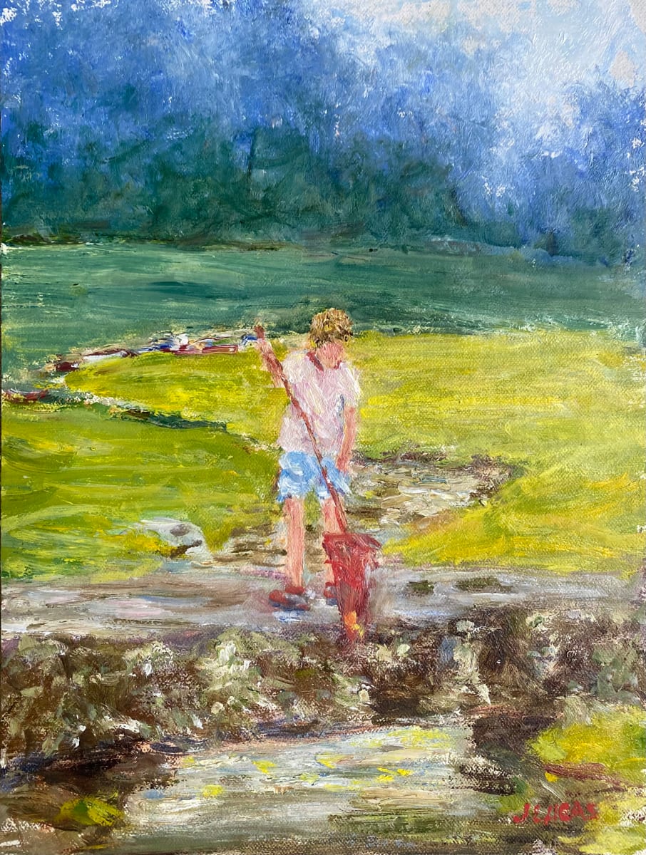 It's In the Net by Janet Lucas Beck 