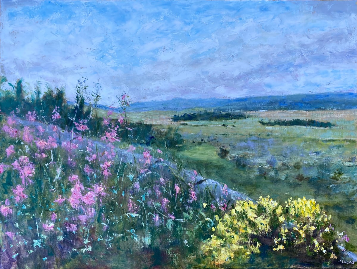 Overlook by Janet Lucas Beck 