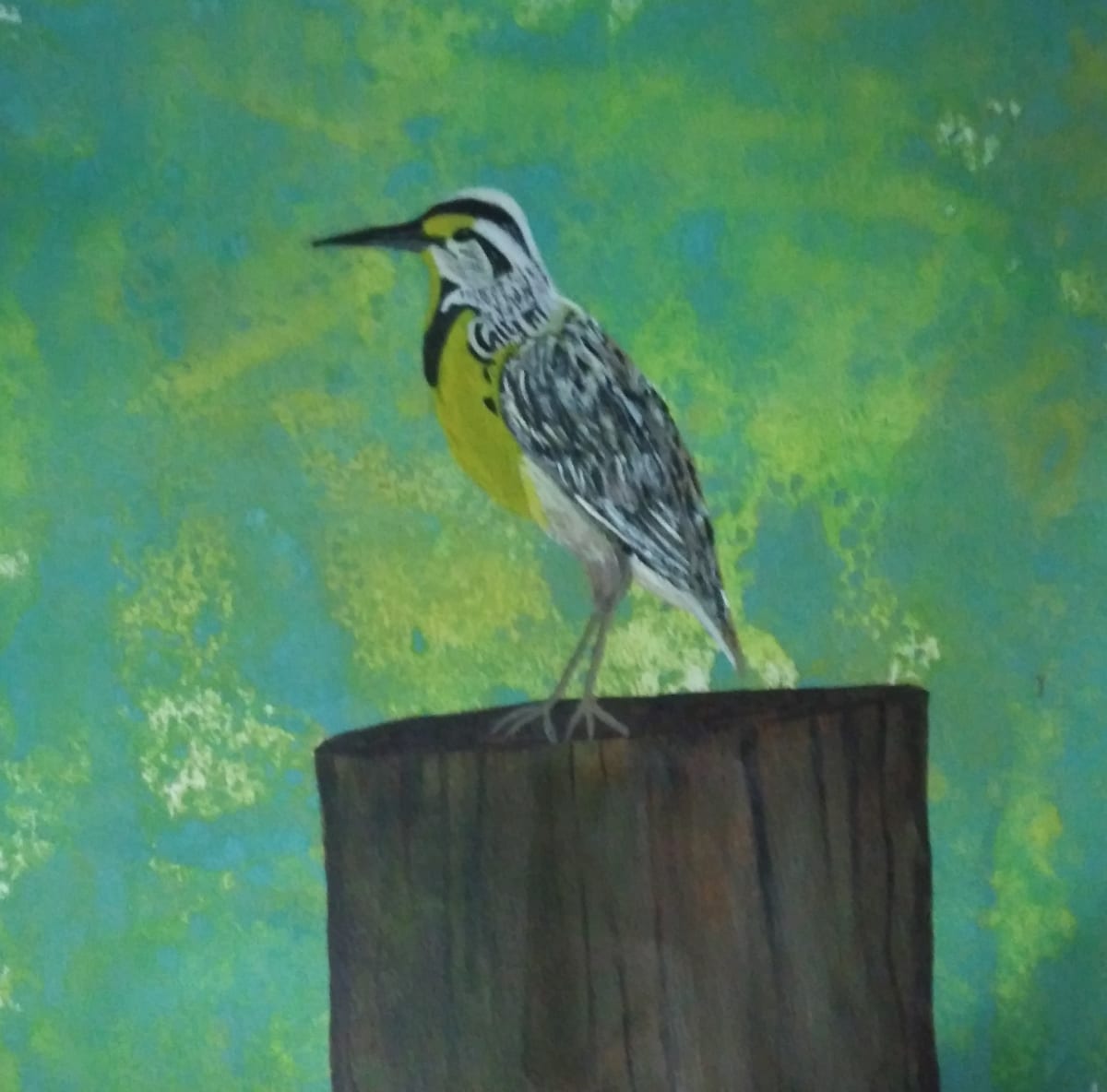 Meadowlark's Landing by mdbishop_art 