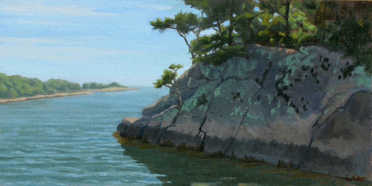 High Island Rock Face by Eileen Eder 