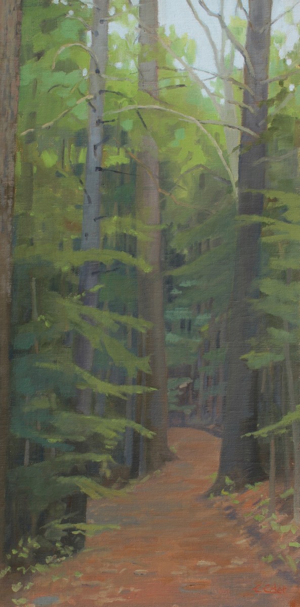 Cathedral Trees by Eileen Eder 