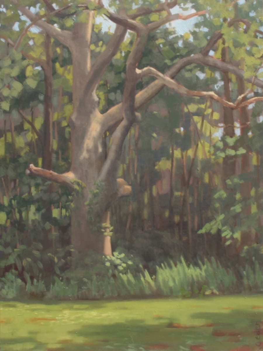 Grand Oak by Eileen Eder, Image 1.