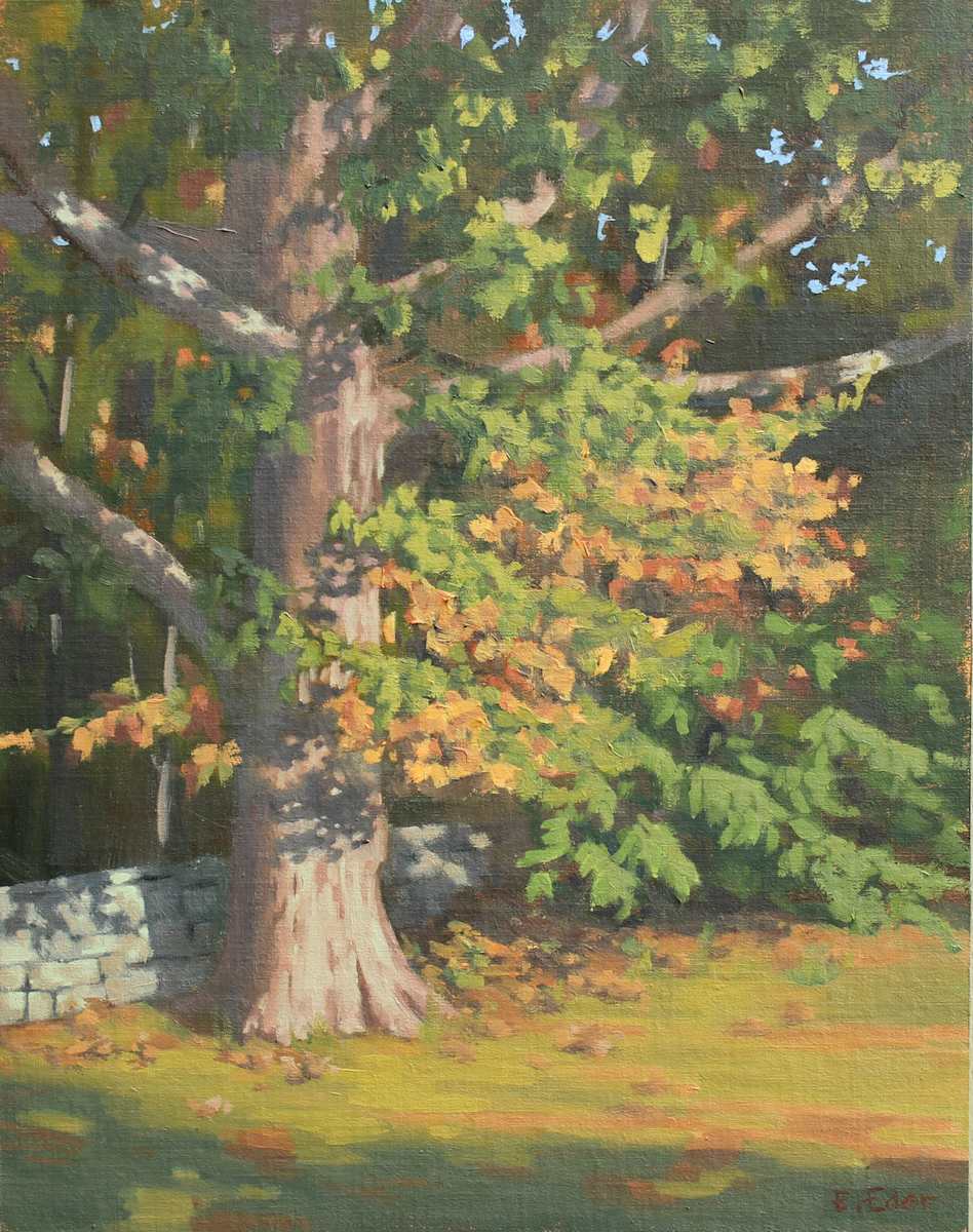 Early Morning Light by Eileen Eder 