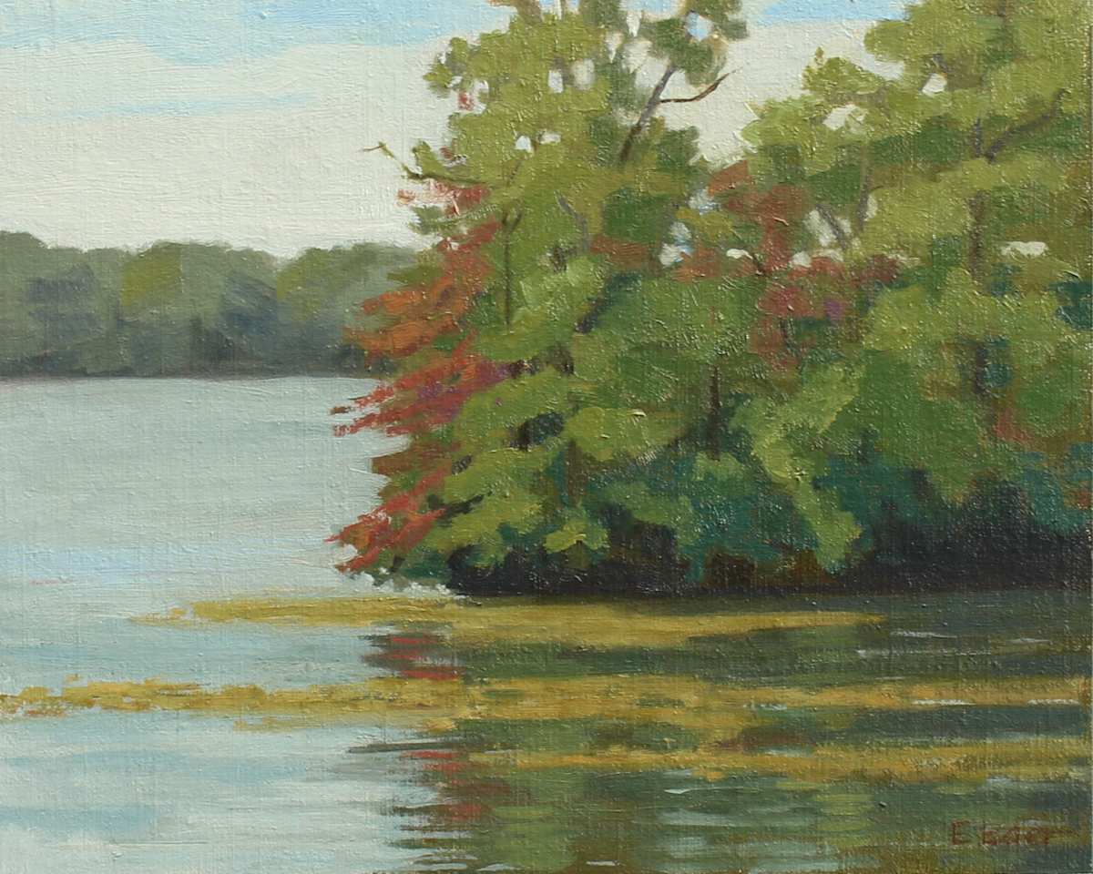 Lake at Hains Park by Eileen Eder 