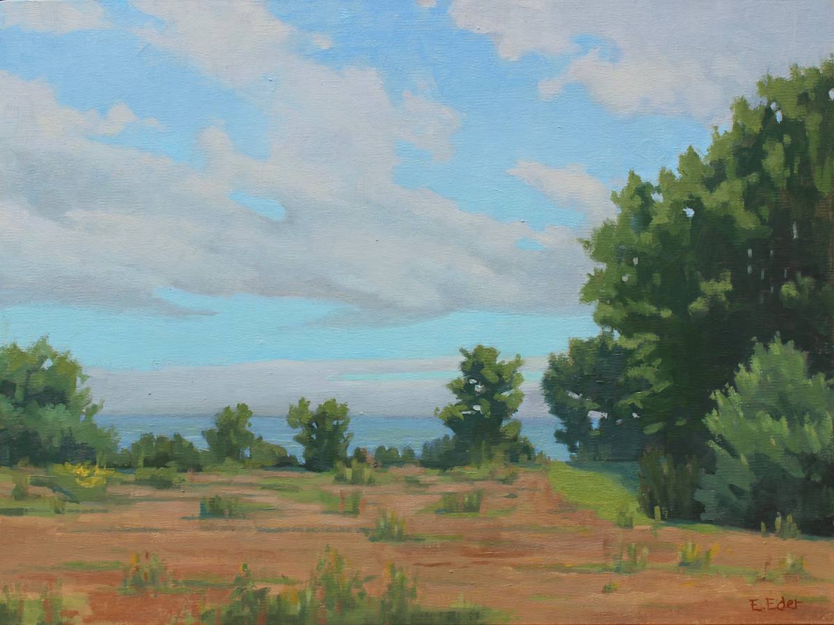 Summer Meadow by Eileen Eder  Image: Summer Meadow