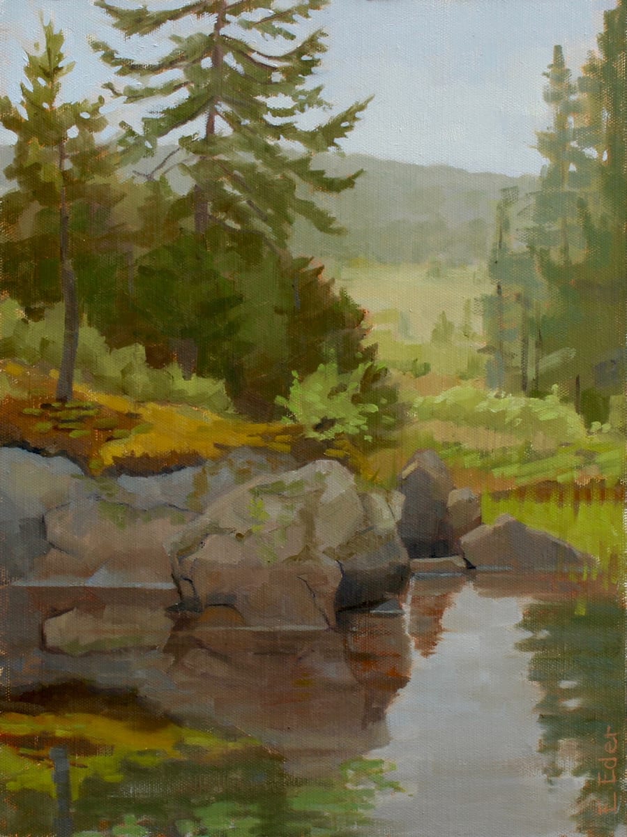 Tranquil Mountain Pond by Eileen Eder 