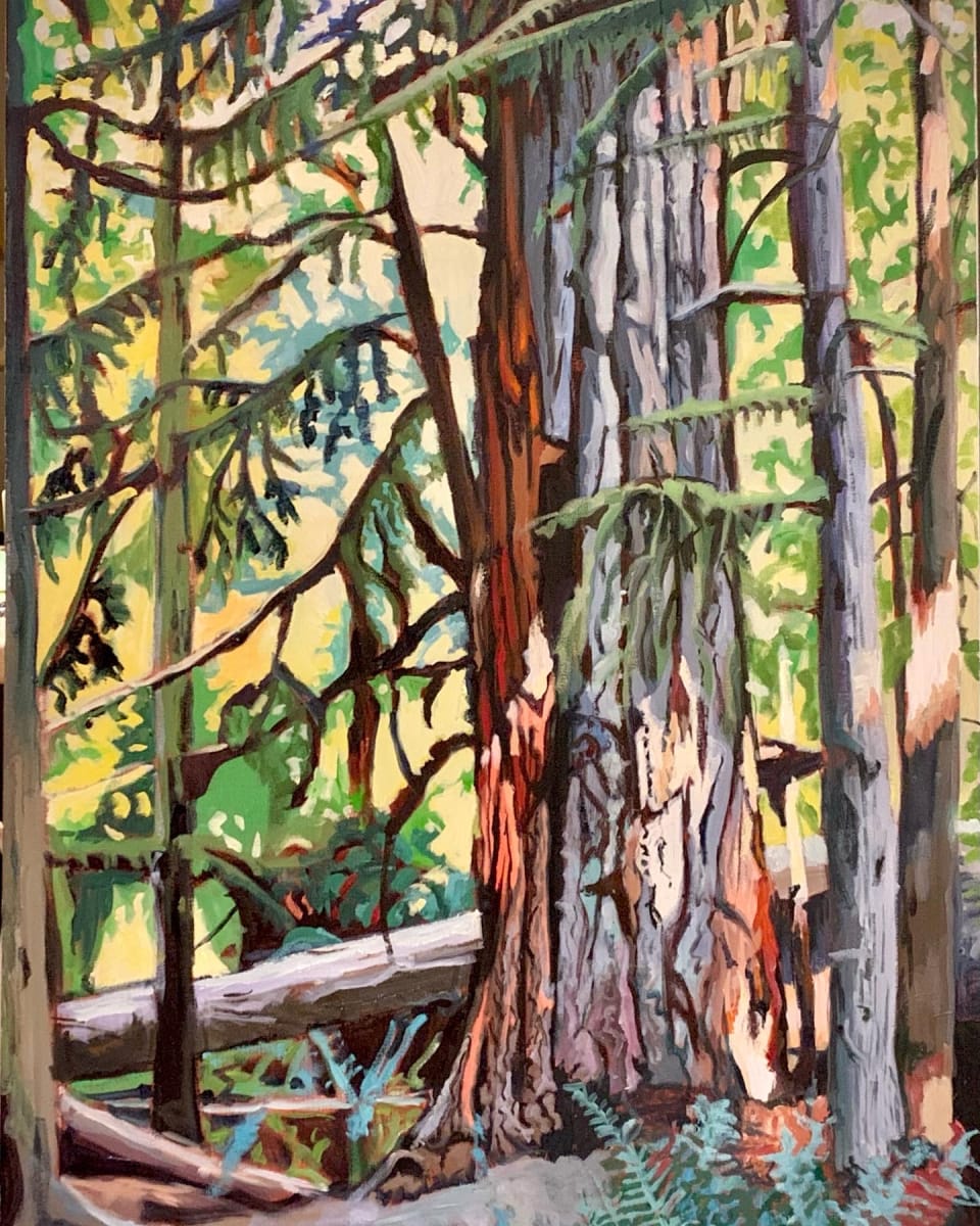 Douglas Fir Reflection, Vancouver Island  Image: This piece was done after visiting the Cathedral Forest on Vancouver Island. The light reflections as well as textures were so inviting, that I had to do several paintings of them.