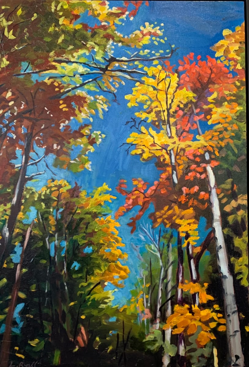 Sky Pathway, Agonquin Provincial Park by Lynne Ryall 