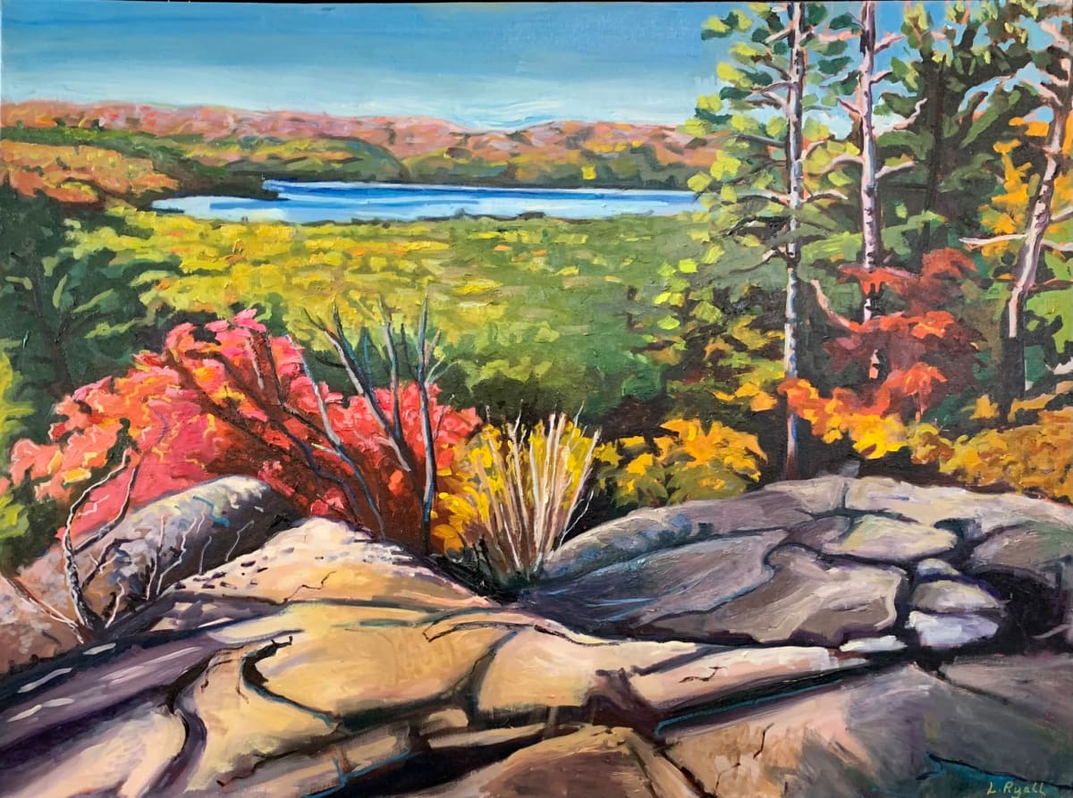Algonquin Park lookout colour by Lynne Ryall, Image 4.