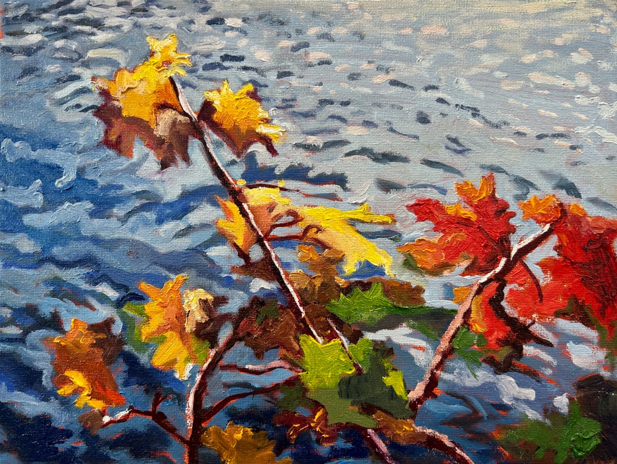 Warm contrasts, Kashabog Lake, Kawartha Lakes by Lynne Ryall  Image: Another set of leaves against water. 