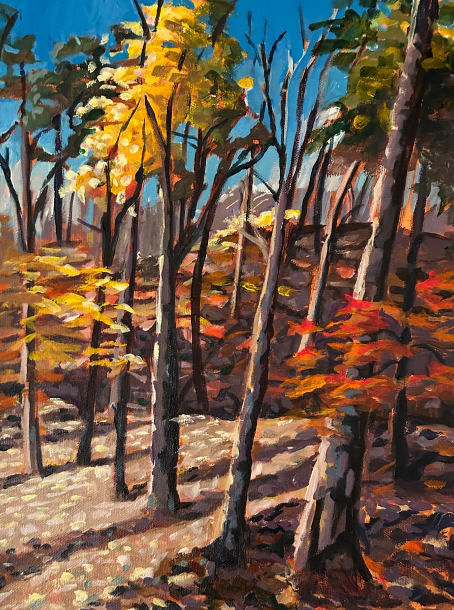 Leaves Half Down, Dundas Valley by Lynne Ryall  Image: An en plein air piece down in Dundas Valley when the leaves had dropped by half.
