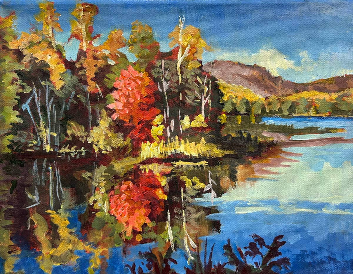 Combermere Lake Colour by Lynne Ryall  Image: A modified en plein air piece showing the beautiful view in the afternoon from an Airbnb cottage.