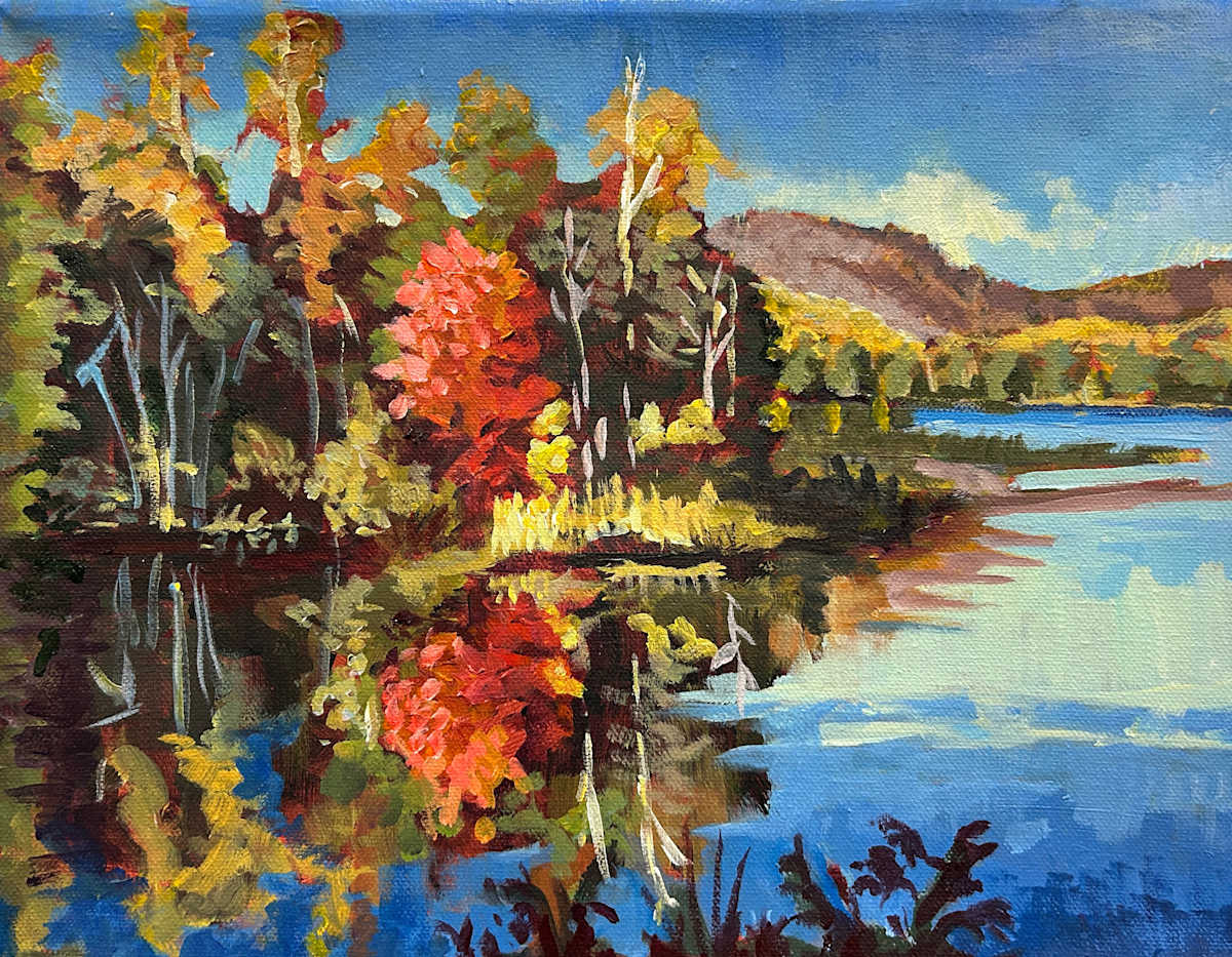 Combermere Lake Colour by Lynne Ryall, Image 1.