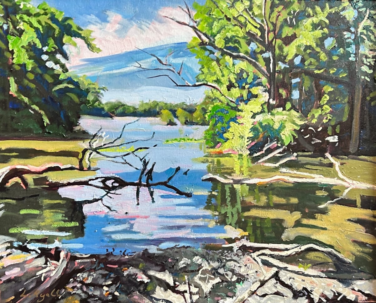 Hiker's Pause by Lynne Ryall 