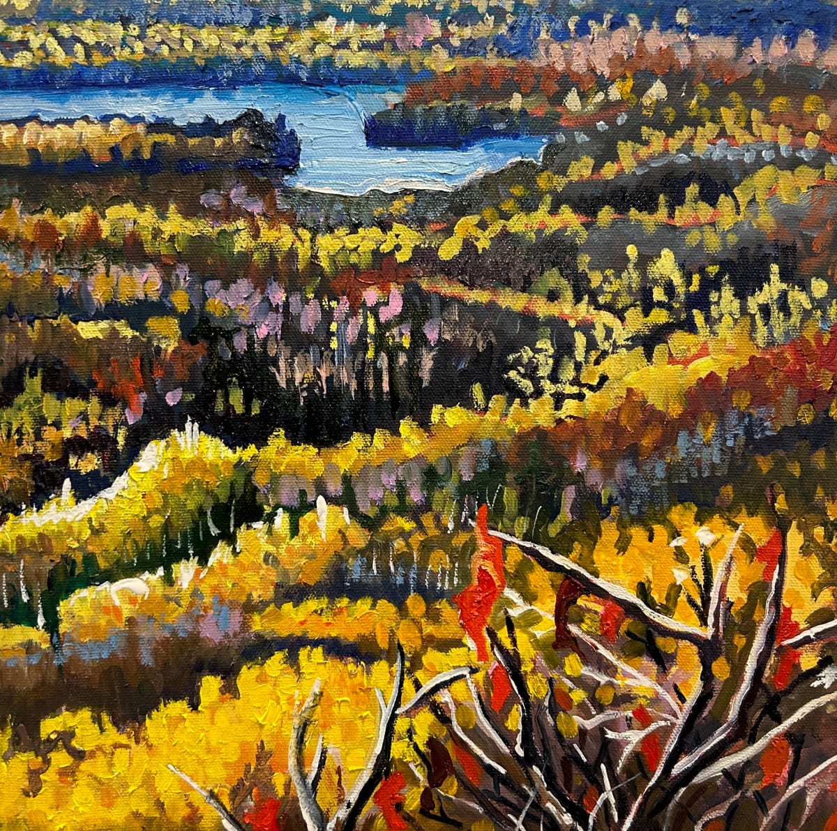 Combermere Lookout by Lynne Ryall 