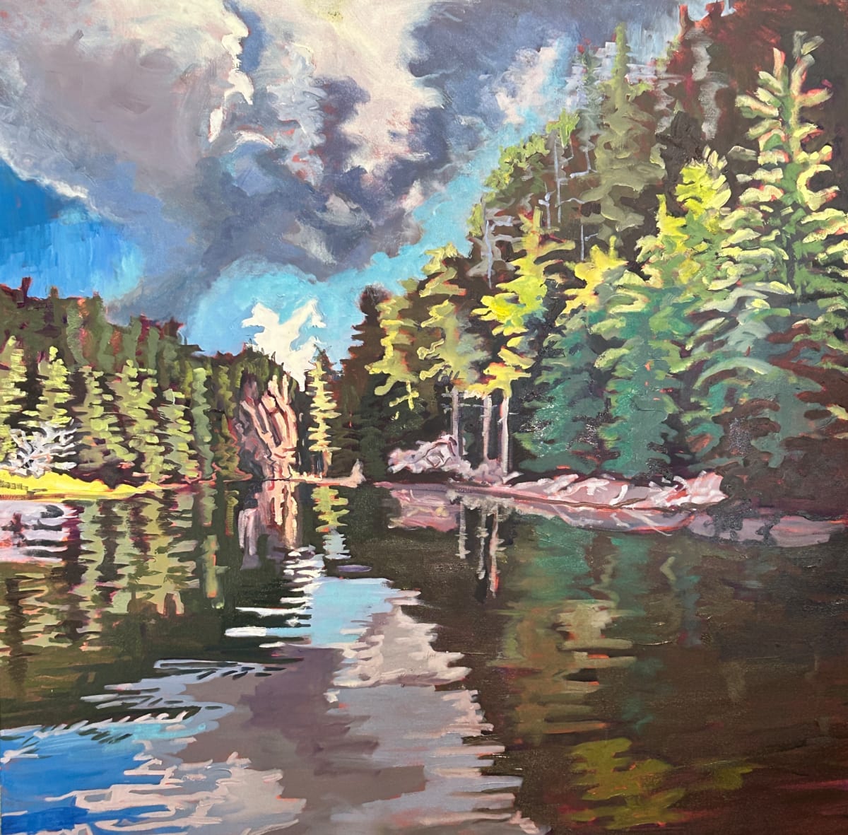 Storm approaching Barron Canyon, Algonquin Park by Lynne Ryall 