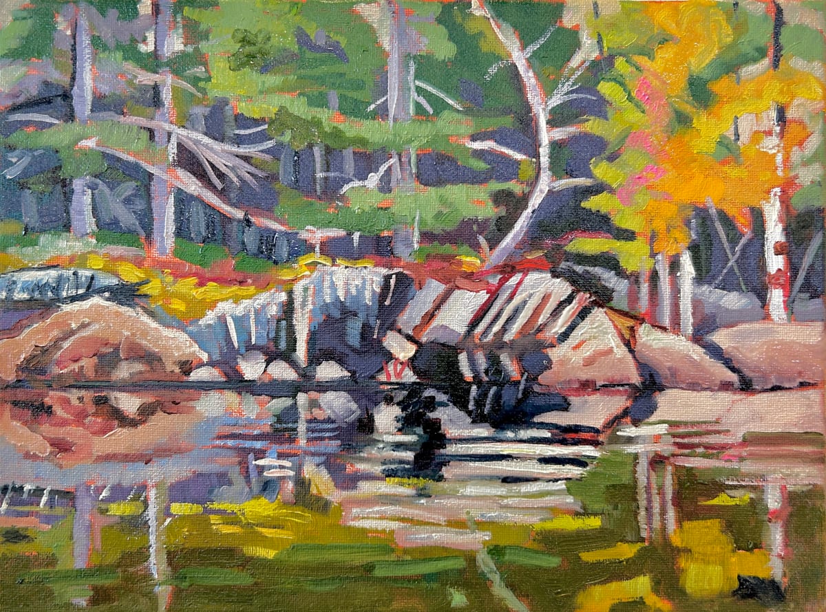 Back Bay Paddle View, Go Home Bay by Lynne Ryall 