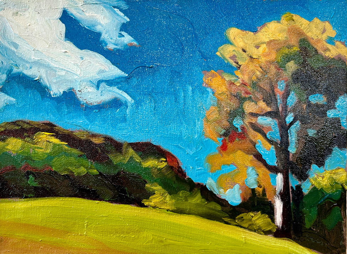 Chedoke Golf Course Hill, Hamilton Ontario by Lynne Ryall 