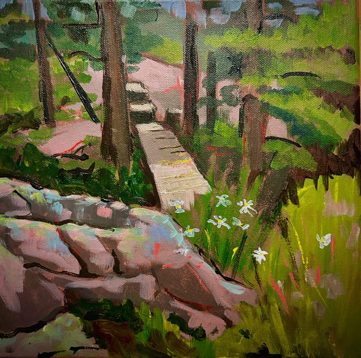 Daisies and Rock at Go Home Bay, by Lynne Ryall 