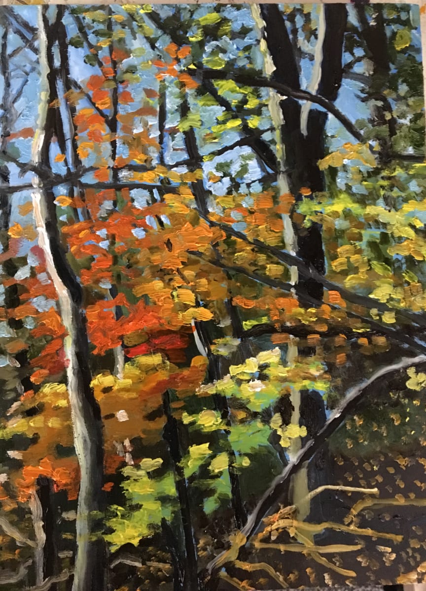 On the Chedoke Trail  Image: A wonderful afternoon walk on the Chedoke Trail led me to create this painting.