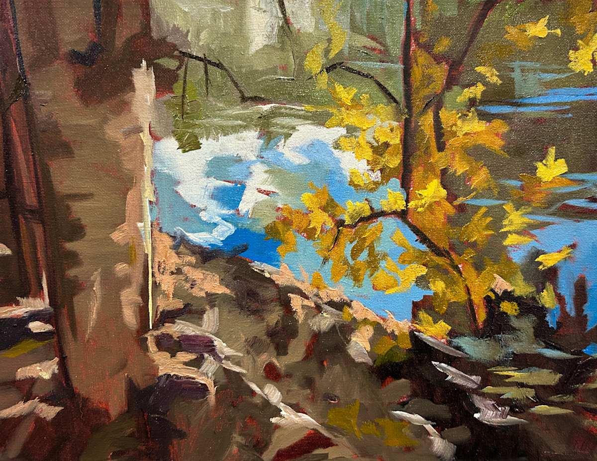 Yellow Birch Leaves, Lake Superior Provincial Park by Lynne Ryall 
