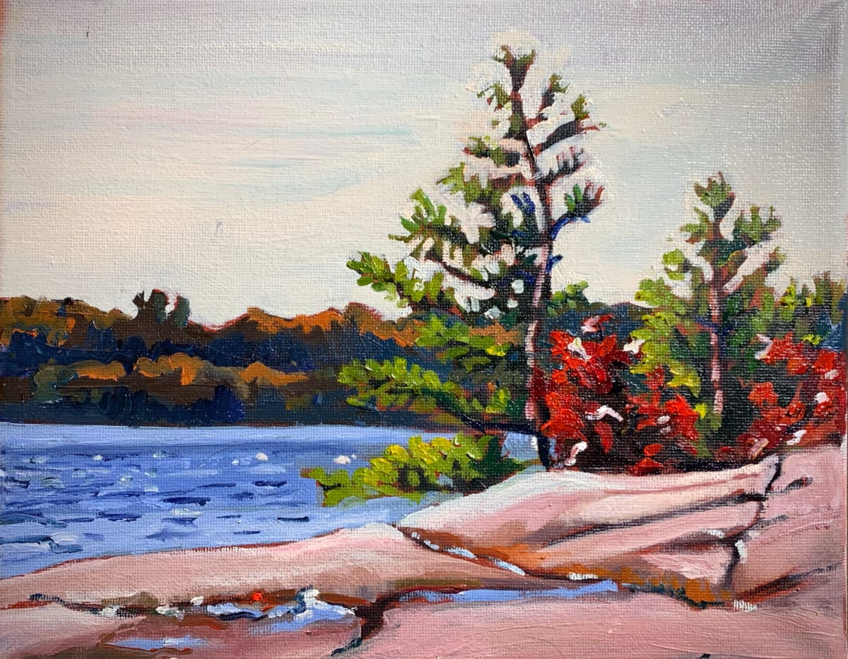 After the Rain, Killbear Provincial Park, Image 1.