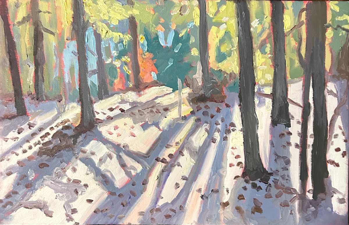 Early Winter Snow Cover by Lynne Ryall, Image 1.