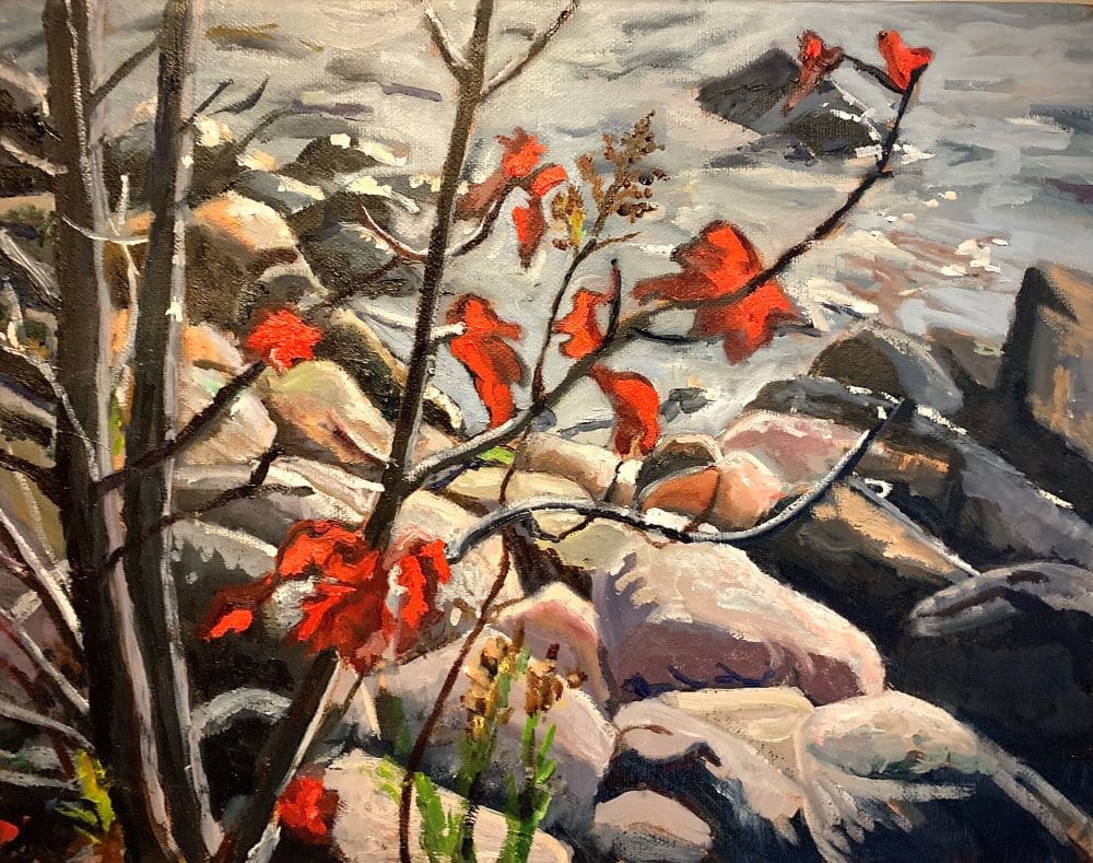 Red Maple, Killarney Beach, Image 1.