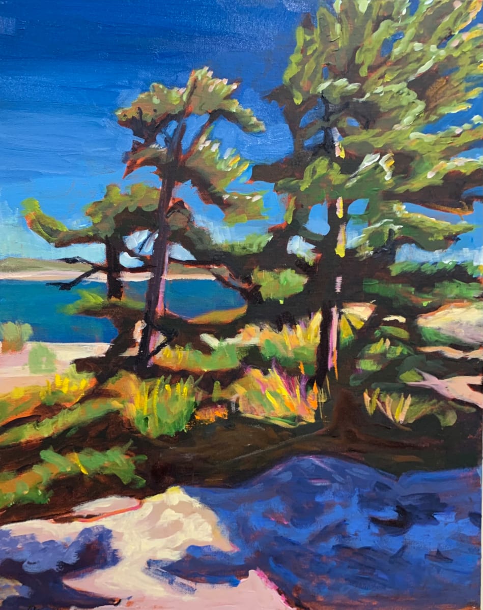 Blue Shadows, Go Home Bay, Georgian Bay by Lynne Ryall 