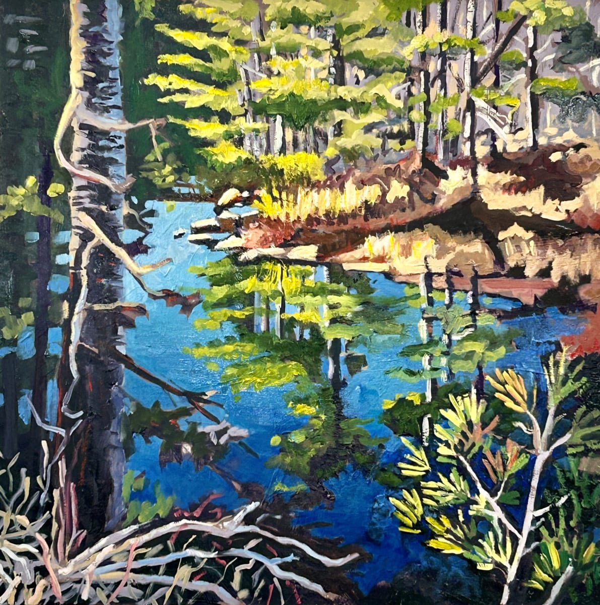 Osprey Point, the Kawarthas by Lynne Ryall, Image 1.