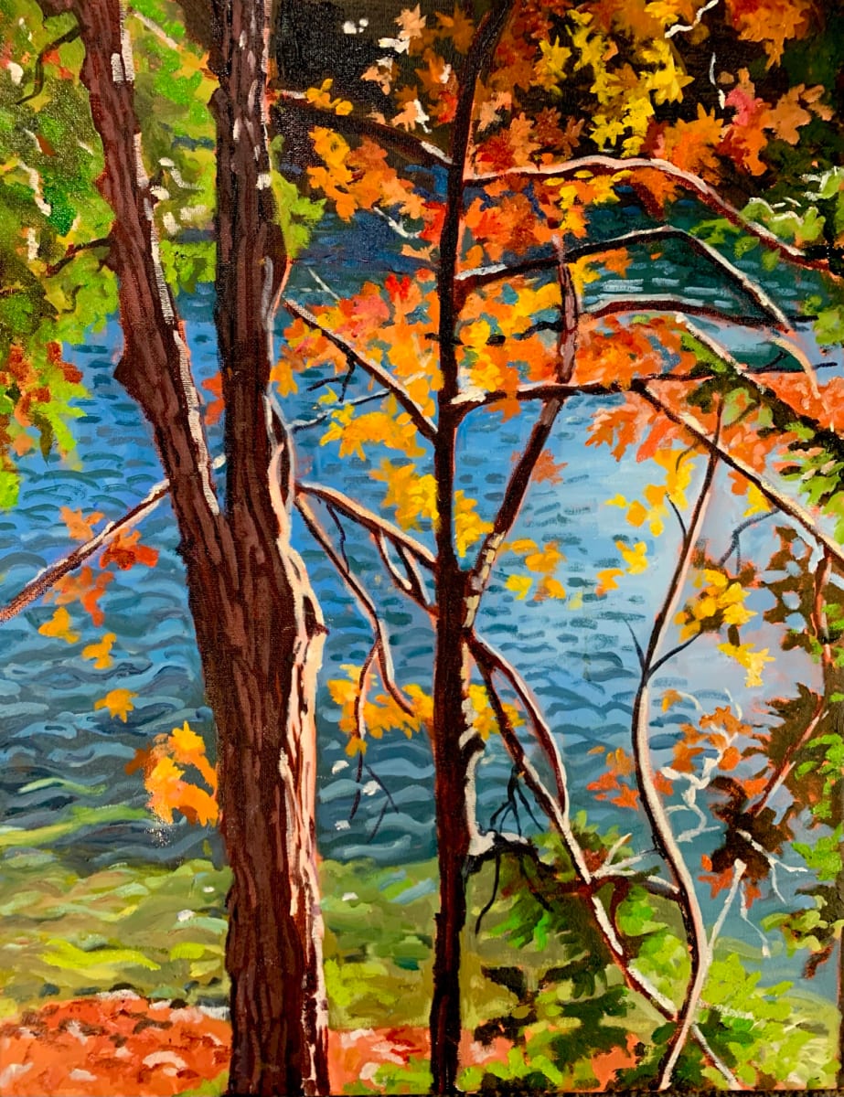 Crawford Lake, Through the Trees 