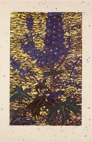 Foxglove by cathy weiss 