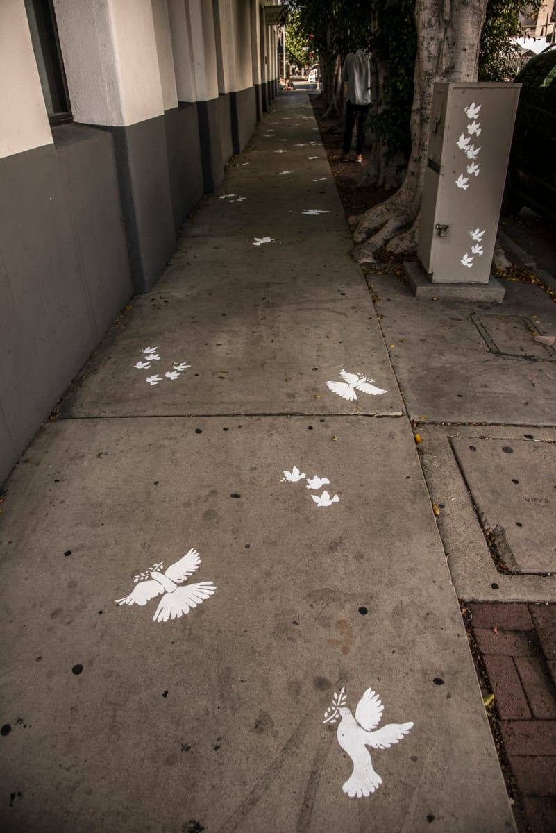Peace Birds, Image 1.