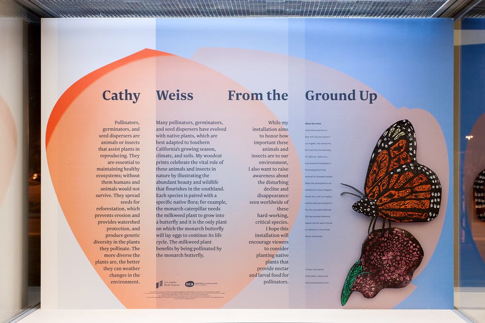 From the Ground Up by cathy weiss, Image 1.