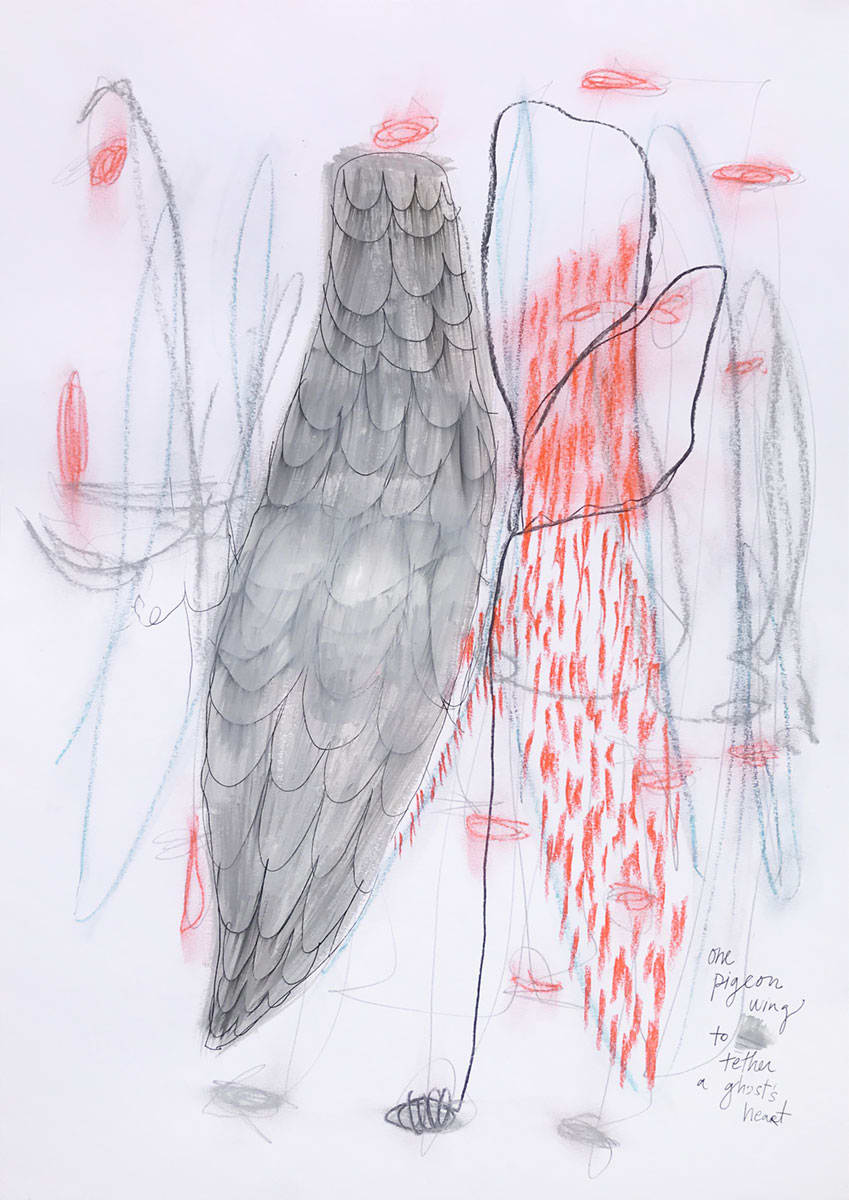 One pigeon wing to tether a ghost's heart by Megan Chapman 