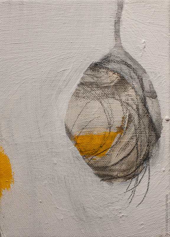 Within the junipers, Image 3.