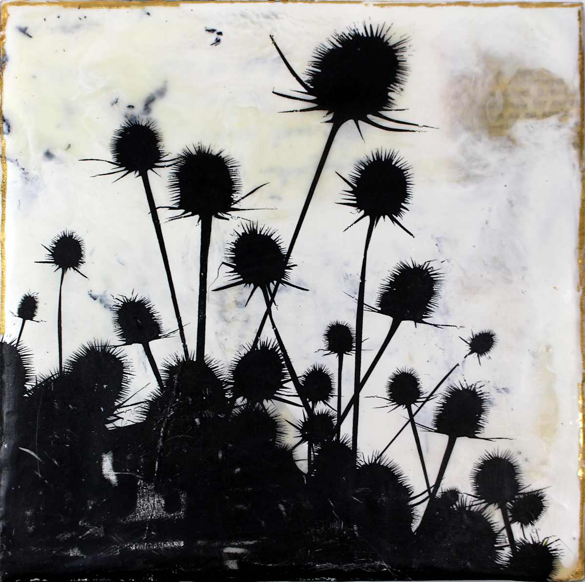 A little Prickly by Shannon Amidon, Image 1.