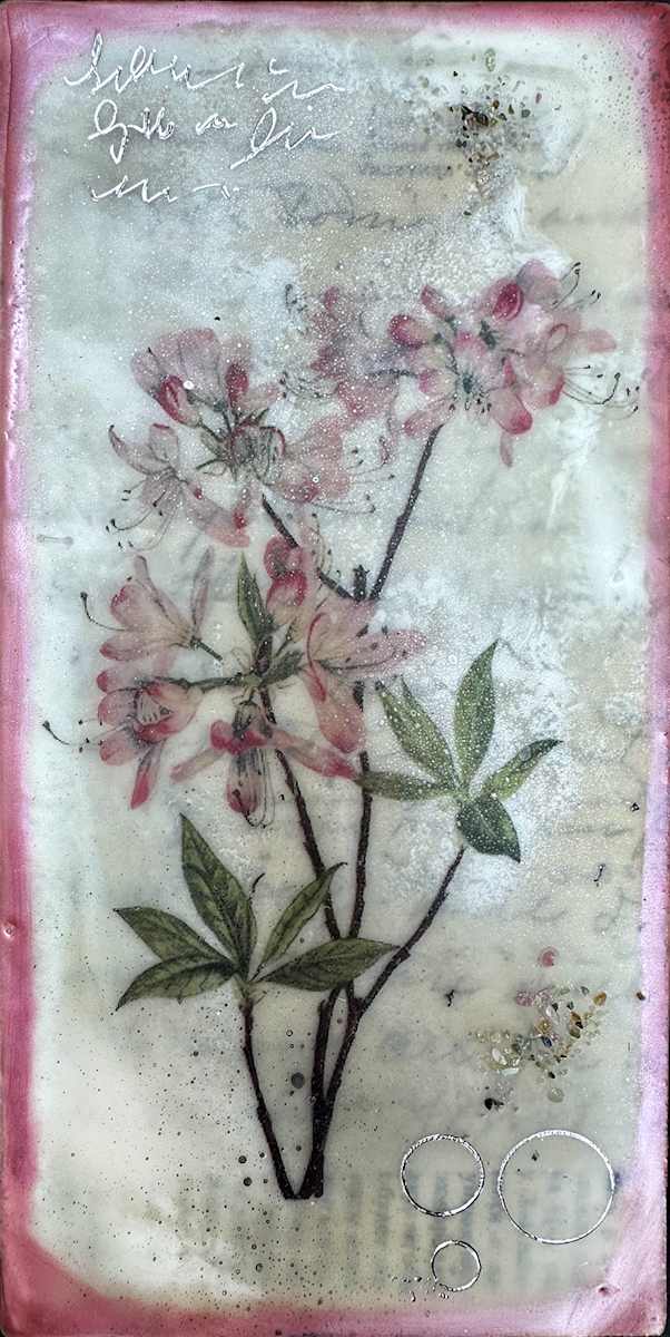Azalia by Shannon Amidon, Image 2.