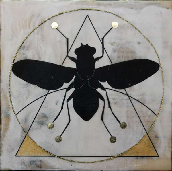 Carl Lindroth by Shannon Amidon, Image 1.