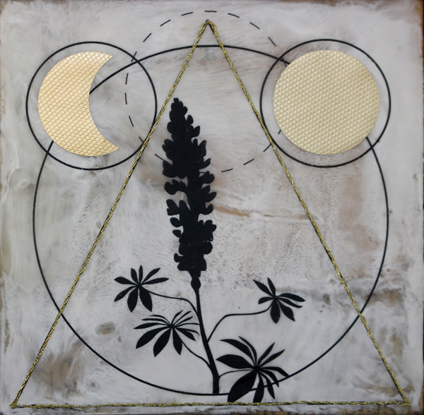 Carolus Linnaeus by Shannon Amidon, Image 1.